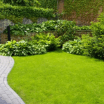 Wie ein Gartenbauer Ihr Traumgarten-Projekt Realität werden lässt