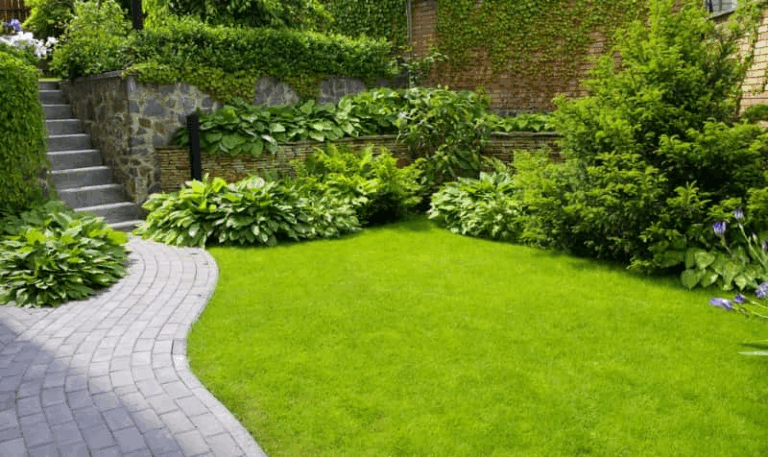 Wie ein Gartenbauer Ihr Traumgarten-Projekt Realität werden lässt