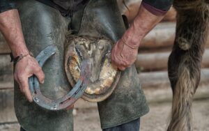 Mehr Denn Aber Metall: Wichtige Faktoren bei Dem Hufeisen kauf